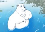  2020 anthro bathing belly blush fur hagom hi_res kemono male mammal moobs nipples outside overweight overweight_anthro overweight_male polar_bear solo ursid ursine water white_body white_fur 