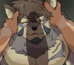  anthro canid canine canis duo erection fur grabbing_face grey_body grey_fur hand_on_head hi_res imminent_sex lover_spot male male/male mammal muscular muscular_male pecs penis_shadow temujin tokyo_afterschool_summoners video_games wolf yellow_eyes 