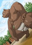  2016 anthro belly brown_body brown_fur detailed_background eyewear fur glasses kemono male mammal moobs nipples outside overweight overweight_male solo_focus sumo takagi_kyou ursid 