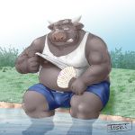  1:1 2020 anthro belly bodily_fluids bottomwear bovid bovine bulge cattle clothed clothing kemono male mammal moobs nipples outside overweight overweight_anthro overweight_male shirt shorts sitting solo sweat tank_top topwear toshi_(artist) water 