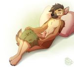  anthro black_nose boxers_(clothing) brown_hair canid canine canis chest_tuft clothed clothing digital_media_(artwork) erection genitals green_boxers green_eyes hair laying_on_pillow looking_at_viewer male mammal nowandlater paws penis pillow pink_penis shaded simple_background solo spook_(bottlerat) topless tuft underwear underwear_down watermark white_background wolf 