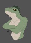  abs alligator alligatorid anthro belly clothed clothing crocodilian crossed_arms erie looking_down male muscular muscular_anthro muscular_male novacantnames nude reptile scalie solo tan_belly teeth topless yellow_eyes 
