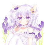 1girl :o animal_ear_fluff animal_ears bare_shoulders blush bow breasts cat_ears checkerboard_cookie cleavage collarbone commentary_request cookie cookie_hair_ornament dress floral_background flower food food_themed_hair_ornament hair_bow hair_ornament hand_up holding holding_food knees_up lavender_(flower) long_hair looking_at_viewer medium_breasts off-shoulder_dress off_shoulder original pantyhose parted_lips purple_bow purple_flower shikito silver_hair simple_background sitting solo white_background white_dress white_legwear wrist_cuffs 