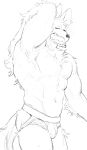  abs absurd_res anthro canid canine canis clothed clothing fur hi_res male mammal monochrome muscular muscular_anthro muscular_male open_mouth simple_background sketch solo standing topless tupidwithouts underwear white_body white_fur wolf yawn 