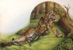  4_toes 5_fingers anthro black_stripes clothed clothing day detailed_background felid female fingers forest fur grass mammal orange_body orange_fur outside pantherine solo striped_body striped_fur stripes teiirka tiger toes tree 