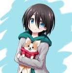  1girl animal animal_hug bangs black_hair blue_background blue_eyes blush chikuwa_(yurucamp) closed_mouth dog eyebrows_behind_hair green_hoodie grey_jacket hair_between_eyes highres hood hood_down hoodie jacket kuena looking_at_viewer open_clothes open_jacket saitou_ena smile two-tone_background upper_body white_background yurucamp 