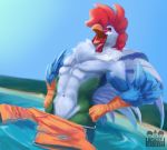  anthro athletic avian avian_caruncle beak bird chest_tuft chicken clothing convenient_censorship dewlap_(anatomy) eyewear feathers galliform gallus_(genus) glasses male muscular muscular_male nude open_mouth outside partially_submerged phasianid solo swimwear tuft water wattle wet yggiiggy 