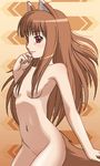  animal_ears awa breasts holo long_hair lowres nipples nude red_eyes small_breasts solo spice_and_wolf tail wolf_ears 