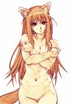  animal_ears blush breasts brown_hair covering covering_breasts cowboy_shot crossed_arms hisahiko holo long_hair looking_at_viewer medium_breasts navel nude parted_lips red_eyes simple_background solo spice_and_wolf tail thigh_gap white_background wolf_ears 