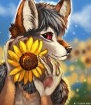  2020 5_fingers anthro black_hair brown_body brown_fur canid canine canis day detailed_background digital_media_(artwork) fingers flashw fur hair jackal male mammal outside red_eyes sky solo 
