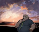  2020 absurd_res anthro belly clothing eyewear glasses h_s_050 hi_res humanoid_hands kemono leib_(tas) male mammal outside overweight overweight_anthro overweight_male polar_bear shirt solo tokyo_afterschool_summoners topwear ursid ursine video_games 