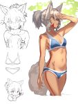  1girl animal_ear_fluff animal_ears arm_up armpits bangs bare_arms bare_shoulders bikini blue_bikini bodypaint breasts brown_eyes chibi cleavage closed_mouth collarbone commentary_request eyebrows_visible_through_hair flying_sweatdrops fox_ears fox_girl fox_tail grey_hair hair_between_eyes holding looking_at_viewer medium_breasts multiple_views navel original ponytail shading_eyes smile swimsuit tail yuuji_(yukimimi) 