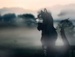  anthro black_hair breasts canid canine canis catherinemeow clothed clothing detailed_background female fur green_eyes grey_body grey_fur hair mammal multicolored_body multicolored_fur solo two_tone_body two_tone_fur wolf 