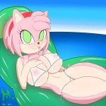  1:1 absurd_res amy_rose anthro bikini breasts bubjones clothing eulipotyphlan female genitals hedgehog hi_res mammal nipples pussy solo sonic_the_hedgehog_(series) swimwear translucent translucent_clothing water 