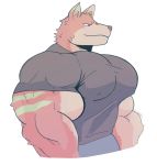  anthro biceps big_muscles brown_nose canid canine canis clothing crocobu fur green_body green_fur green_stripes huge_muscles male mammal multicolored_body multicolored_fur muscular muscular_anthro muscular_male pecs pink_body pink_fur red_eyes shirt simple_background smile solo stripes stripped_fur tan_body tan_fur tight_clothing topwear white_background wolf 