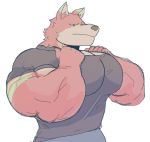  anthro biceps big_muscles brown_nose canid canine canis clothing crocobu fur green_body green_fur green_stripes hand_on_chest huge_muscles looking_down male mammal multicolored_body multicolored_fur muscular muscular_anthro muscular_male pecs pink_body pink_fur red_eyes shirt simple_background solo stripes stripped_fur tan_body tan_fur tight_clothing topwear white_background wolf 