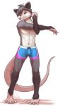  2020 absurd_res anthro blue_eyes clothing didelphid fur hi_res male mammal marsupial mykegreywolf simple_background smile solo stretching swimming_trunks swimwear white_background 