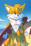  2020 anthro beach black_nose black_pupils blue_eyes blue_sky canid canine cheek_tuft cloud day facial_tuft featureless_crotch fingernails fox front_view fur fur_tuft half-closed_eyes hi_res holding_object holding_surfboard krazyelf looking_aside male mammal miles_prower multicolored_body multicolored_fur nails narrowed_eyes nude outside pupils sea seaside sky solo sonic_the_hedgehog_(series) surfboard tuft two_tone_body two_tone_fur two_tone_tail vehicle water watercraft white_body white_fur 