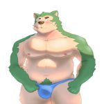  1:1 2020 anthro belly blush bulge canid canine canis clothing domestic_dog fur green_body green_fur hi_res humanoid_hands kemono live-a-hero male mammal mokdai moobs nipples overweight overweight_anthro overweight_male peekeroro simple_background solo underwear video_games white_background 