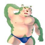  1:1 2020 anthro belly blush bodily_fluids bulge canid canine canis clothing domestic_dog fur green_body green_fur hi_res humanoid_hands kemono live-a-hero male mammal mokdai moobs nipples overweight overweight_anthro overweight_male peekeroro simple_background solo sweat underwear video_games white_background 