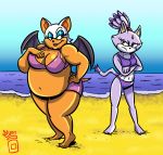  anthro beach bikini blaze_the_cat chiropteran clothing domestic_cat duo felid feline felis female hi_res mammal overweight rouge_the_bat royaljellysandwich seaside sonic_the_hedgehog_(series) swimwear 