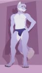  abstract_background anthro athletic athletic_anthro athletic_male bulge canid canine canis clothed clothing fur hair hand_on_hip lavender_fur lean_muscle looking_at_viewer lunalei male mammal paws simple_background smile smirk smug solo speedo standing swimwear takahiro_(wesacer) topless underwear white_body white_fur wolf 