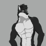  1:1 abs absurd_res akivia_wolf anthro biceps canid canine canis hi_res kwoodsartofficial_(artist) male mammal muscular muscular_anthro muscular_male solo wolf 