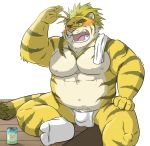  2020 anthro asian_clothing balls belly blush bulge clothing east_asian_clothing felid fundoshi genitals hi_res hon55728 humanoid_hands japanese_clothing kemono magan male mammal nipples overweight overweight_anthro overweight_male pantherine sitting solo tiger tokyo_afterschool_summoners towel underwear video_games 