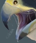  ambiguous_gender avian beak bird bodily_fluids drooling falcon falconid feral hi_res mouth_shot nemane open_mouth saliva solo throat tongue vore 