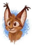  2020 anthro brown_body brown_eyes brown_fur caracal caracal_(genus) ear_tuft felid feline fur head_tuft mammal marc_(theblueberrycarrots) simple_background smile solo theblueberrycarrots tuft white_background 