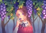  1girl blonde_hair braid commentary_request day eating food forehead fruit grapes highres holding holding_food holding_fruit leaf long_sleeves minami_seira neck_ribbon open_mouth original outdoors pink_lips plant portrait purple_neckwear purple_ribbon ribbon sidelocks solo sunlight 