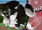  all_fours anthro anthro_on_feral anthro_penetrated balls bestiality big_breasts big_butt black_body black_fur black_tail bodily_fluids breasts brown_hair butt canid canine cheek_tuft clothes_on_ground cum cum_in_vagina cum_inside cutaway duo echo_(wolffylegend) erection eyes_closed facial_tuft female female_penetrated fence feral feral_penetrating feral_penetrating_anthro fur genital_fluids genitals gradient_hair grey_balls grey_body grey_fur grey_tail hair hi_res huge_breasts humanoid_genitalia humanoid_vulva internal killthe_demon knot knotting male male/female male_penetrating male_penetrating_female mammal multicolored_hair neck_tuft nipples nude open_mouth ovum penetration penile penile_penetration penis penis_in_vagina pink_nipples plant purple_eyes red_hair red_penis red_tongue sex shrub side_view sperm_cell tail tongue tongue_out tuft two_tone_hair vaginal vaginal_penetration vulva white_body white_fur 