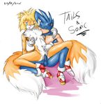  breasts canine crossgender duo female fox fox7 hedgehog male mammal miles_prower penetration penis plain_background pussy rule_63 sega sonic_(series) sonic_team sonic_the_hedgehog straight tails vaginal vaginal_penetration white_background 