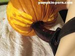  inanimate pumpkin tagme 