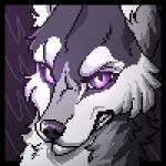  1:1 anthro canid canine canis catherinemeow clenched_teeth digital_media_(artwork) fur grey_body grey_fur male mammal multicolored_body multicolored_fur open_mouth pixel_(artwork) purple_eyes simple_background solo teeth two_tone_body two_tone_fur white_body white_fur wolf 