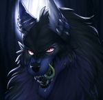  anthro black_body black_fur blue_body blue_fur bodily_fluids canid canine canis catherinemeow detailed_background drooling fangs fur hi_res male mammal multicolored_body multicolored_fur open_mouth open_smile saliva saliva_on_tongue smile solo tongue tongue_out two_tone_body two_tone_fur white_body white_fur wolf 