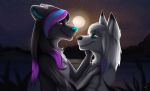  anthro black_hair canid canine canis duo female girly hair highlights_(coloring) hybrid light looking_at_another male male/female mammal moon moonlight rudzik sky smile sonja_wusky star starry_sky wolf wolfdog 