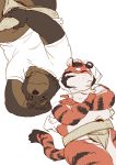  2018 anthro belly brown_body brown_fur clothing duo felid fur kemono male mammal osansyoup pantherine shirt simple_background slightly_chubby sumo tiger topwear ursid white_background 