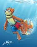  bottomwear buizel clothing eyewear feral glasses hi_res male nintendo pok&eacute;mon pok&eacute;mon_(species) sagadreams shorts solo swimming swimming_trunks swimwear underwater video_games water 