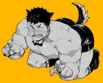  1boy abs animal_ears ass bara bare_chest black_eyes black_hair bow bowtie boxers chest dog_boy dog_ears dog_tail full_body greyscale highres looking_at_viewer male_focus monochrome muscle naop_(anything) navel nipples original paw_pose shirtless short_hair solo tail tearing_up thighs underwear yellow_background 