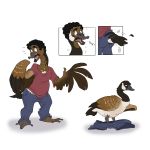  anatid annoyed anseriform anserinae avian beak bird bottomwear brown_body brown_feathers clothed clothing feathered_wings feathers feral goose human human_to_feral male mammal pants shrinking silverclaw1 size_transformation solo species_transformation tail_feathers transformation wings 
