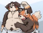  2020 ailurid anthro belly bernese_mountain_dog black_body black_fur blush bodily_fluids brown_body brown_fur canid canine canis domestic_dog drooling duo fur humanoid_hands kota&acute; male mammal molosser mountain_dog navel orange_body orange_fur overweight overweight_male red_panda saliva swiss_mountain_dog 