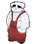  2017 absurd_res anthro belly blush canid canine canis clothing debudave_12 domestic_dog fur hi_res kemono male mammal nipples overalls overweight overweight_anthro overweight_male simple_background solo white_background white_body white_fur young 