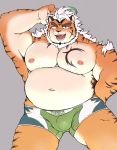  2020 anthro aretna belly blush felid hi_res hombretigre humanoid_hands kemono male mammal nipples overweight overweight_anthro overweight_male pantherine simple_background solo tiger tokyo_afterschool_summoners video_games 