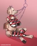  absurd_res anthro armbinder bdsm blep buckle chain chained chastity_cage chastity_device clothing collar digit_ring ear_piercing gradient_background hi_res jewelry latex_legwear legwear lindelon looking_at_viewer male mammal narrowed_eyes piercing ring simple_background slight_smile solo toe_ring tongue tongue_out 