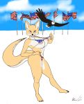  absurd_res accipitrid accipitriform american_flag_bikini avian bald_eagle big_breasts big_butt bikini bird breasts butt canid canine clothed clothing cloud eagle female flag flag_bikini fox hi_res lt._fox_vixen mammal nipples partially_clothed pose presenting realius sea_eagle skimpy sky solo squirrel_and_hedgehog stars_and_stripes swimwear thick_thighs united_states_of_america 