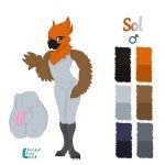  absurd_res anthro avian balls bird dookin feathers fluffy_balls genitals hi_res male model_sheet oscine passerine penis robin sol solo winged_arms wings 