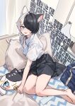  1girl animal_ears aningay black_hair black_skirt blue_eyes cat_ears cat_girl commentary hair_over_one_eye highres indoors korean_text looking_at_viewer multicolored_hair open_mouth original shirt short_hair skirt solo two-tone_hair white_hair white_shirt 