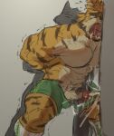anthro bodily_fluids bottomwear clothing cum cum_on_wall cumshot duo ejaculation felid footwear genital_fluids hi_res lantiangou male male/male mammal muscular muscular_male pantherine shorts socks tiger yellow_body