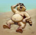 2026 anthro balls beach belly big_belly eyewear genitals male mammal micropenis moobs navel nipples osos overweight overweight_male penis procyonid raccoon sitting small_penis solo sunglasses